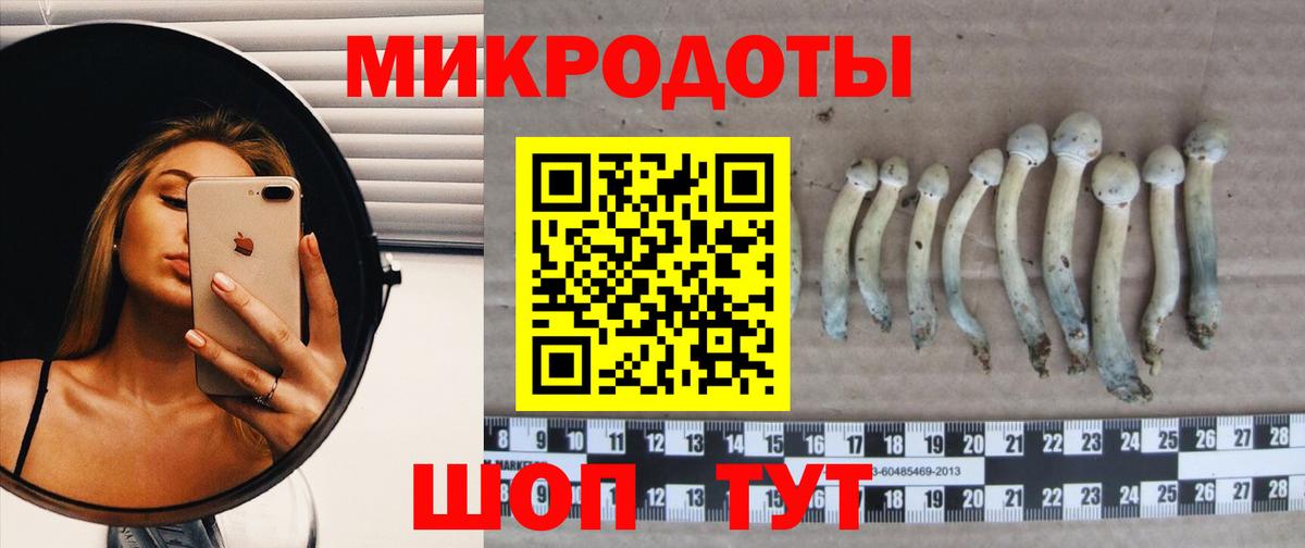 Псилоцибиновые грибы мухоморы  Вход с VPN  Альметьевск  продажа наркотиков  Галлюциногенные грибы MAGIC MUSHROOMS 