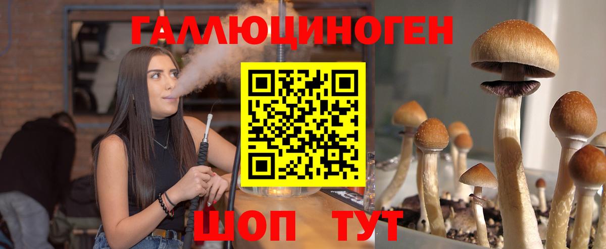Псилоцибиновые грибы Cubensis Альметьевск